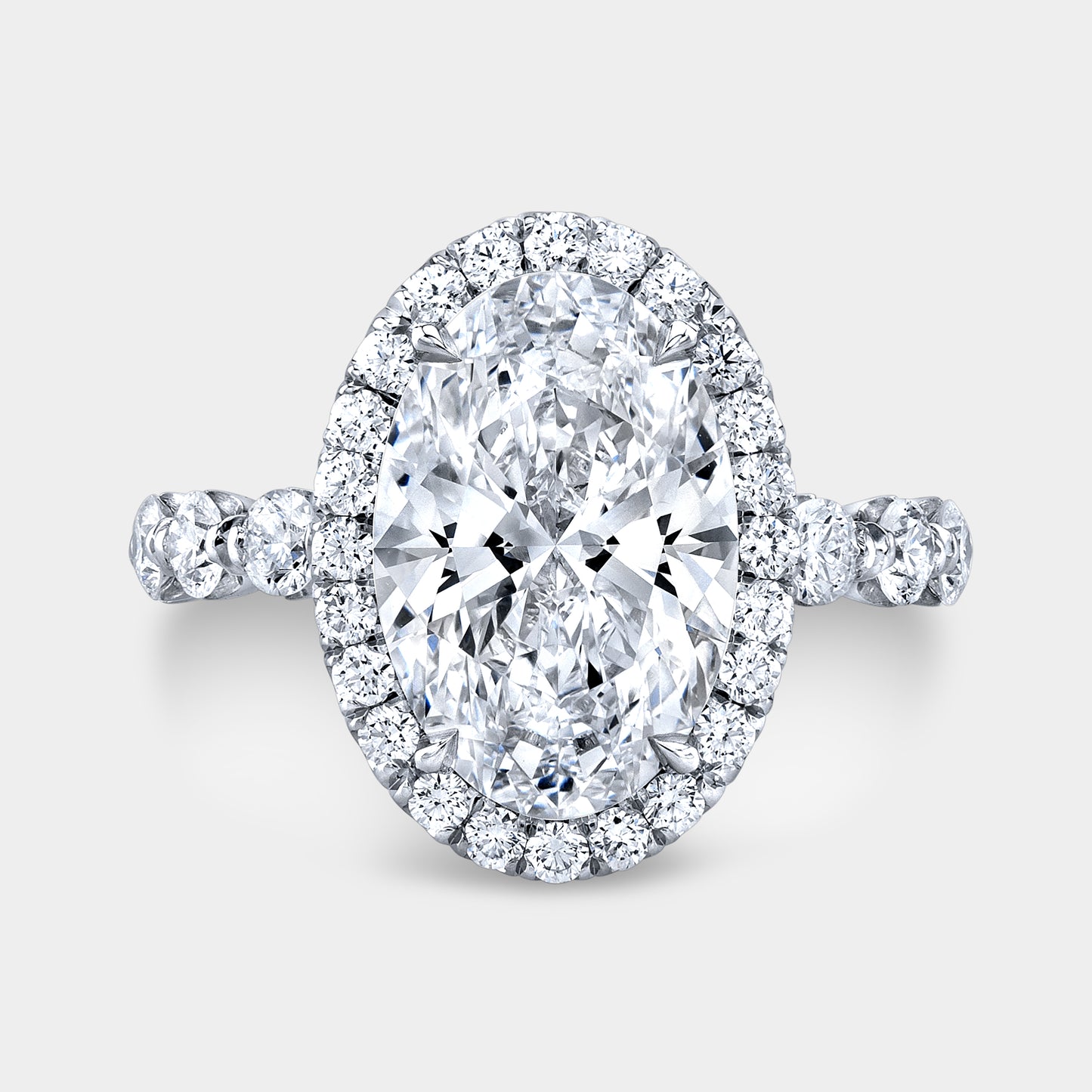 Ring, top-down angle, shared prong detail.