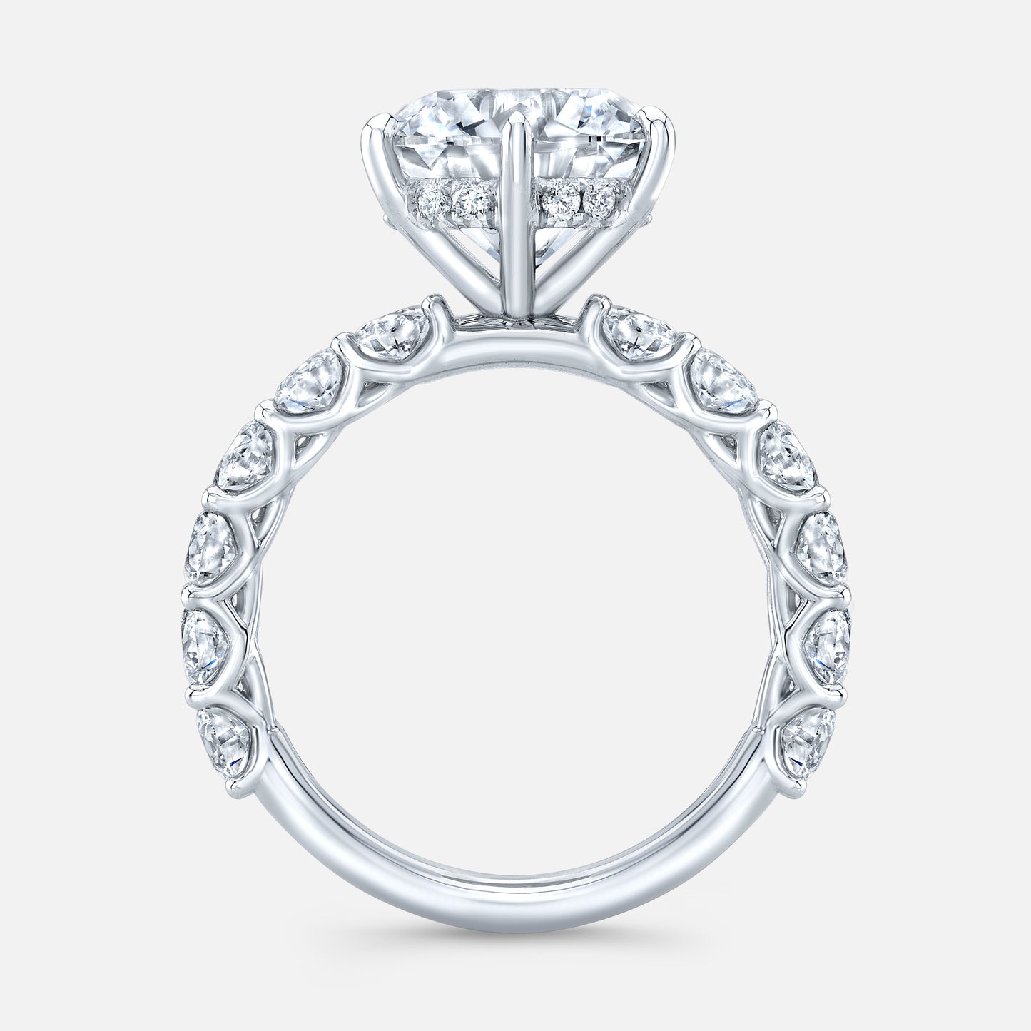 Diamond ring, side view, halo and prongs.
