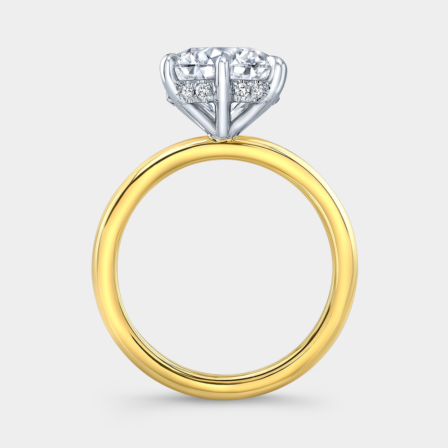 Two tone round ring, hidden halo, solitaire setting.
