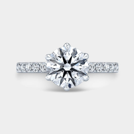 Round Diamond Cathedral U Pave Platinum Engagement Ring