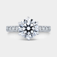 Round Diamond 6 Prong Hidden Halo French Pave Platinum Engagement Ring