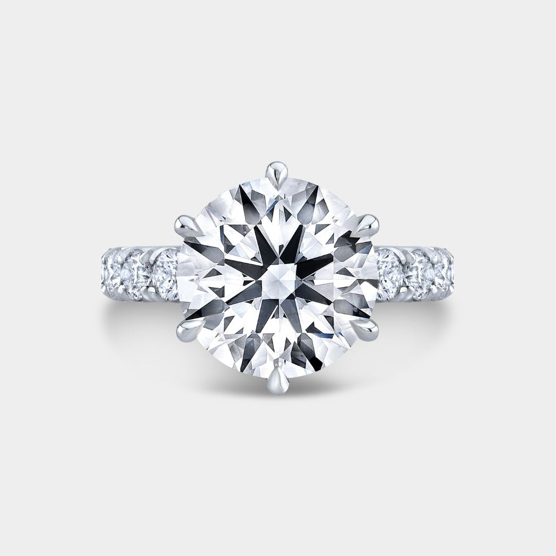 Round Diamond 6 Prong French Pave Eternity Platinum Engagement Ring